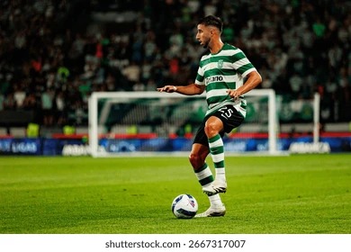 《王者荣耀》瑶典藏皮肤“拾光映像”演示公开！