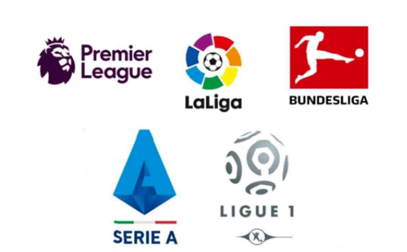 验着双方的 验着双方的